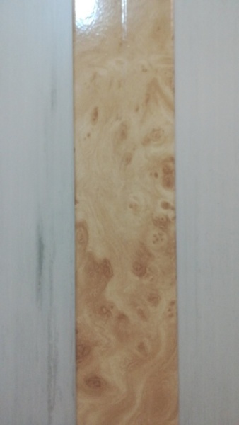 IMG-67f1a2ec66a8b4e4f7c309042a92cbef-V