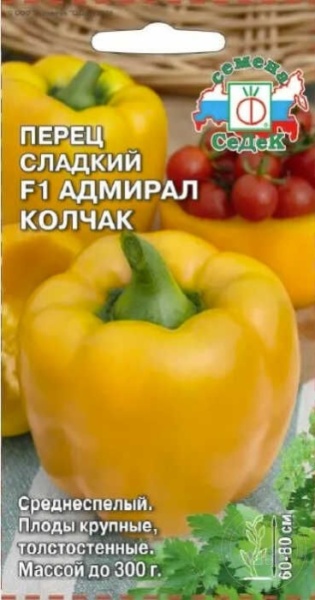 79605