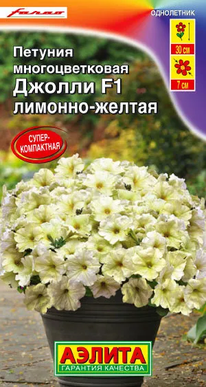65659_970